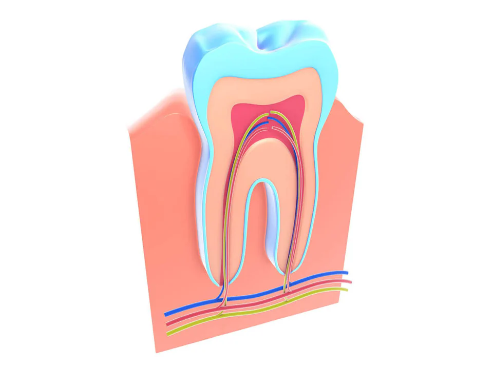 Root canal treatment in Greenville, WI at Westhill Dental.